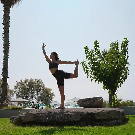 Esperos Palace Resort&spa 4* Ammoudes (Rhodes)